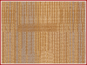 Ecosoft 2600 Venice Series, Eco 2600 Venice Series, 2600 Venice, 2600 Venice Designer Carpets, Manufacturers of 2600 Venice Series Carpets