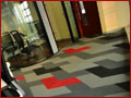 Ecosoft 9500 Series, Eco 9500 Series,
												 9500 Series, 9500 Designer Carpets, Manufacturers of 9500 Series Carpets